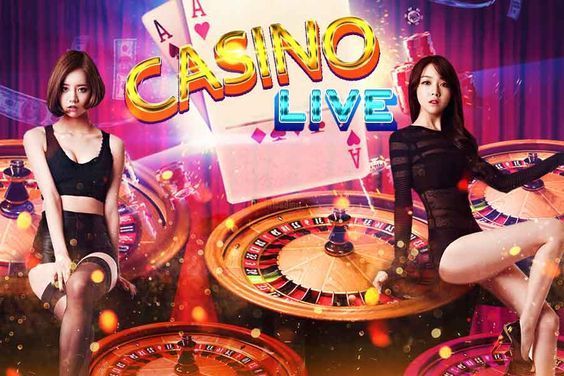 Volleyball betting Live Betting